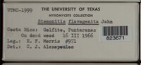 Image Associated With the Occurence